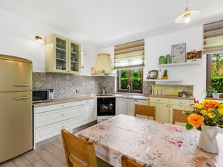 Villa Tinjan Caratteristiche 14