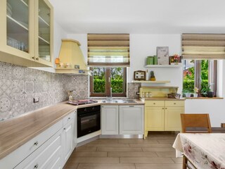 Villa Tinjan Caratteristiche 15