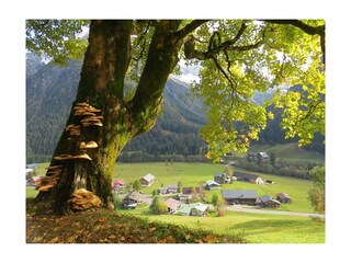 22 oktober mooie herfstfoto's 068