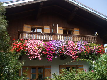 Ferienwohnung Haus-Edith-Wegewitz