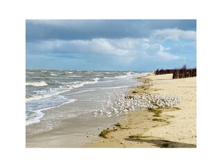 Holiday apartment Döse Environment 32