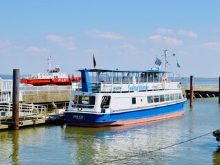 Holiday apartment Döse Environment 36