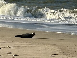 Holiday apartment Döse Environment 37