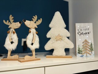 Holiday apartment Döse Features 31