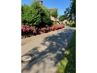 eine Dorfstrasse