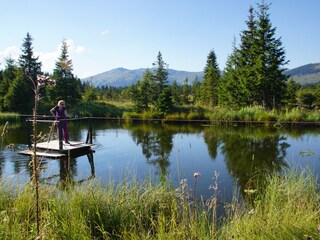 Appartamento per vacanze Hochkrimml Ambiente 26