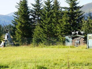 Appartamento per vacanze Hochkrimml Ambiente 28