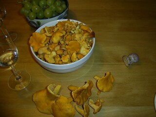 Appartamento per vacanze Hochkrimml Ambiente 37