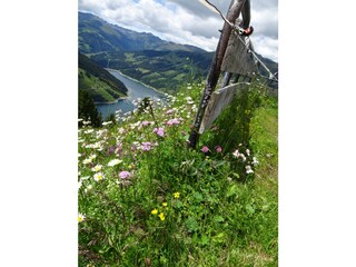 Appartamento per vacanze Hochkrimml Ambiente 38