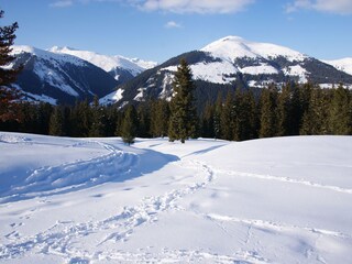 Appartamento per vacanze Hochkrimml Ambiente 24