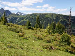 Appartamento per vacanze Hochkrimml Ambiente 39