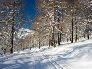 Chalet Falkertsee Ambiente 31