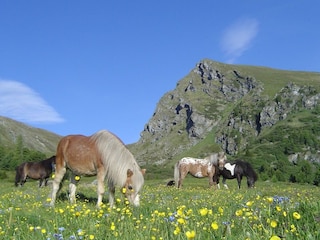 Chalet Falkertsee Ambiente 39