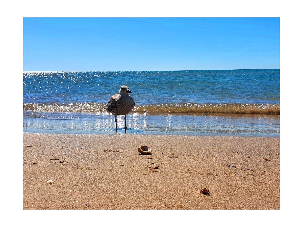 Sérignan Plage