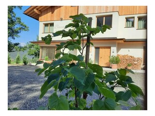 Appartamento per vacanze Villnöss Registrazione all'aperto 14