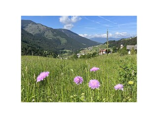 Appartamento per vacanze Villnöss Registrazione all'aperto 15