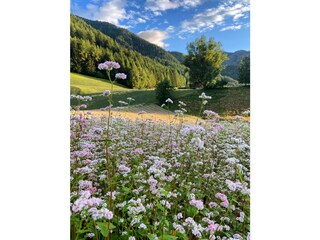 Appartamento per vacanze Villnöss Registrazione all'aperto 16