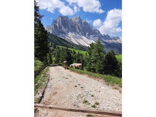 Appartamento per vacanze Villnöss Registrazione all'aperto 6