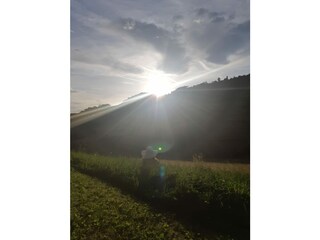 Appartamento per vacanze Villnöss Registrazione all'aperto 11