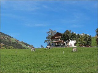 Appartamento per vacanze Villnöss Registrazione all'aperto 13