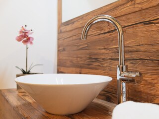 Chalet Bad Hofgastein Caratteristiche 21