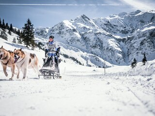 Chalet Bad Hofgastein Omgeving 37