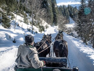 Chalet Bad Hofgastein Ambiente 39