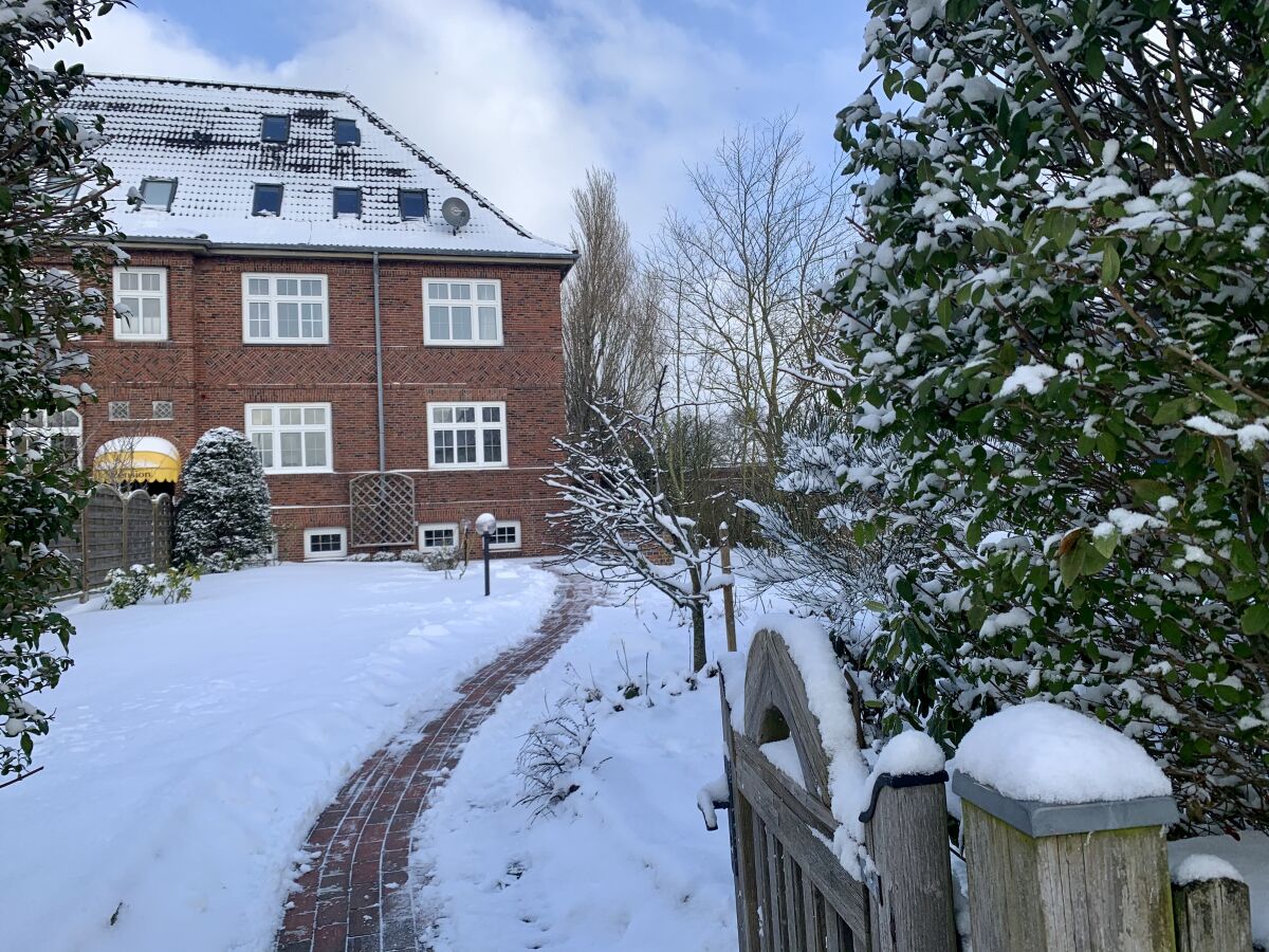 Gartenansicht im Winter