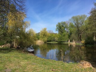 Der Garten mit dem Schwanenteich