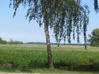 Der Blick auf den Peenestrom