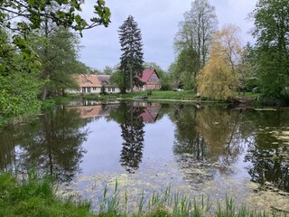 Der Garten mit dem Schwanenteich