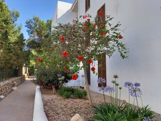 Vakantieappartement Cala D'Or Buitenaudio-opname 7