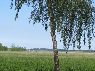 Der Blick zum Peenestrom