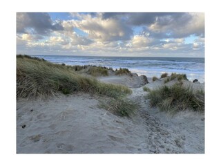 Nordsee Küsten