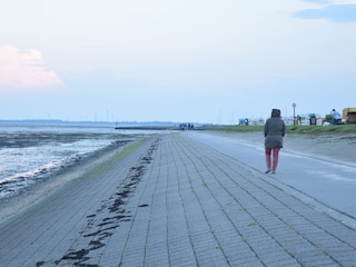 Ferienhaus Horumersiel Umgebung 24