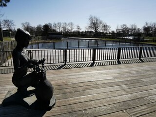 Casa per le vacanze Ouddorp Registrazione all'aperto 9