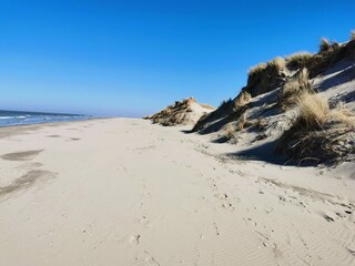 Casa per le vacanze Ouddorp Ambiente 28