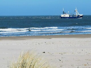 Casa per le vacanze Ouddorp Ambiente 29