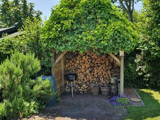 Casa per le vacanze Ouddorp Registrazione all'aperto 5