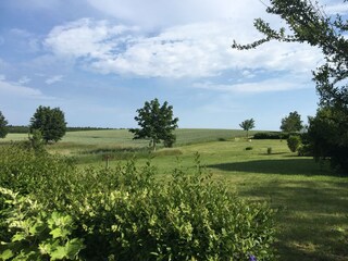 Blick von der Terrasse über den Garten