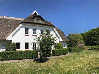 Das Reethus