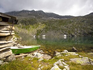 Appartamento per vacanze Wald im Pinzgau Ambiente 24