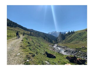 Appartamento per vacanze Wald im Pinzgau Ambiente 23