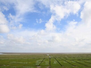 Appartamento per vacanze Juist  22