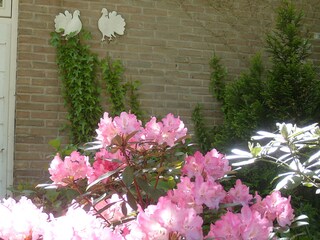 Casa per le vacanze Sint Maartensvlotbrug Registrazione all'aperto 2