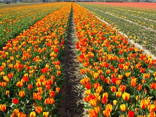 Casa per le vacanze Sint Maartensvlotbrug Ambiente 15