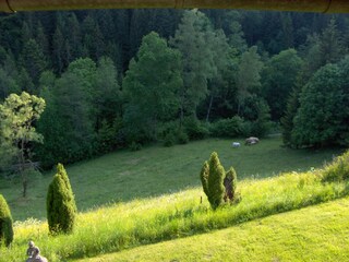 Fensterblick