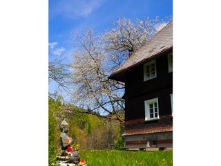 Ferienhaus Häusern Außenaufnahme 14