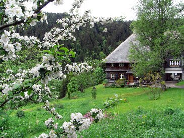 Seminar- u. Ferienhaus Baschnagelhof