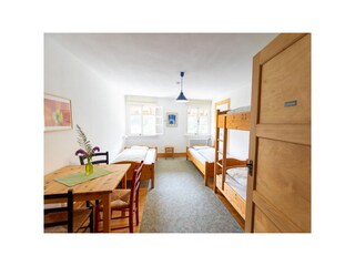Zimmer Lichtnelke
